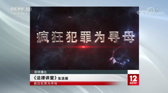 法律讲堂